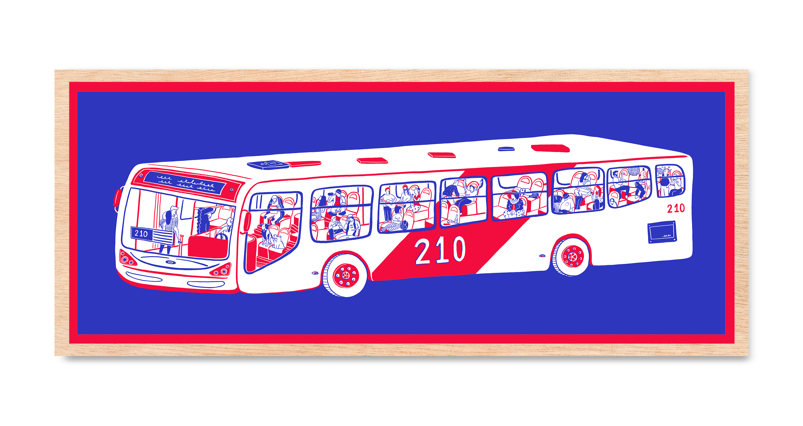 Micro 210 SERIE
