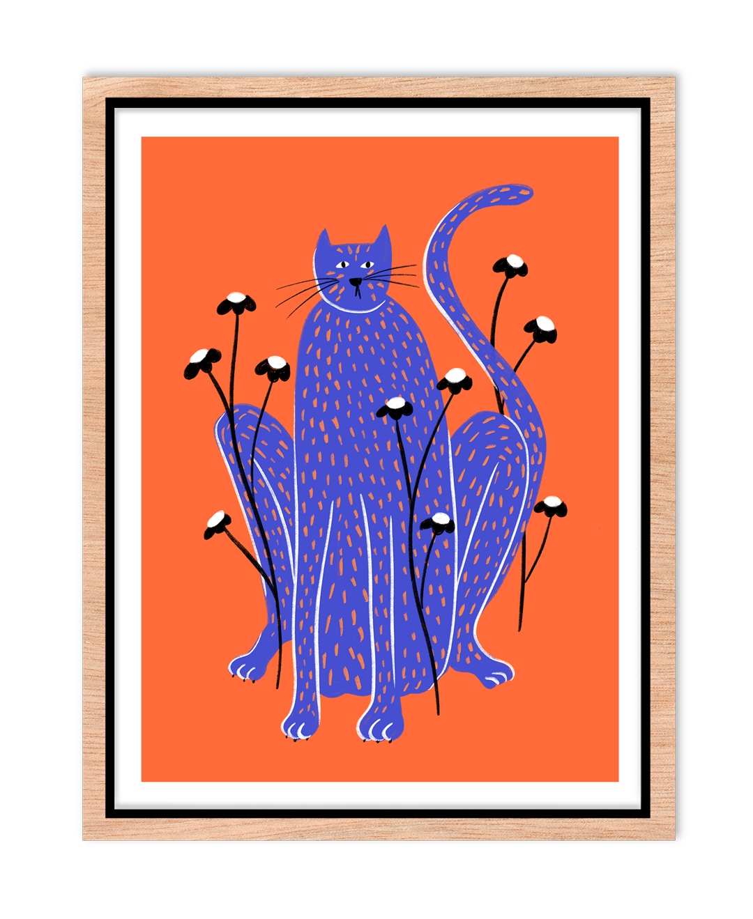 Gato