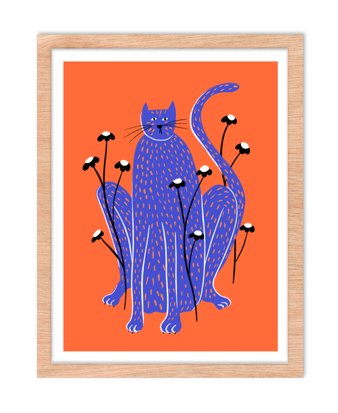 Gato
