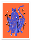 Gato