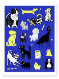 Perritos