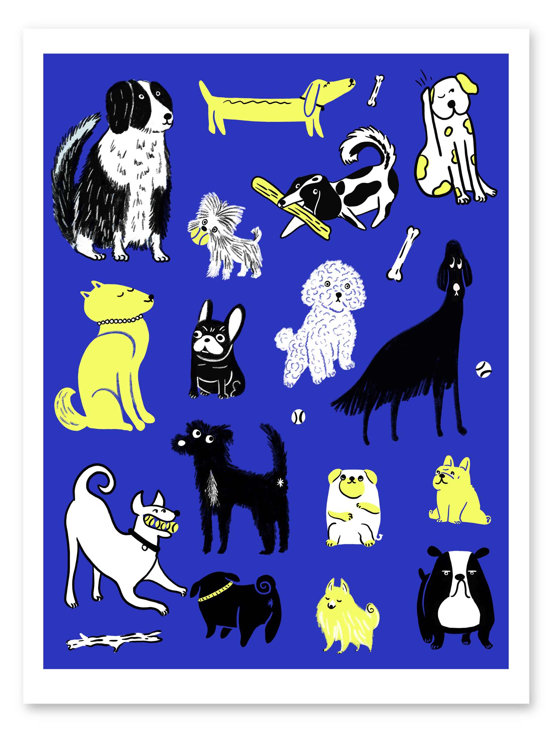 Perritos