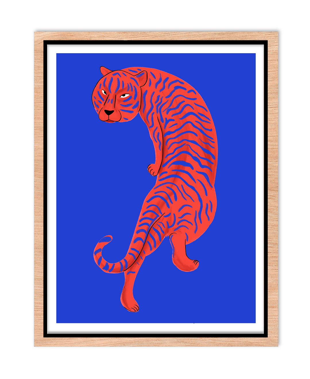 Tigre
