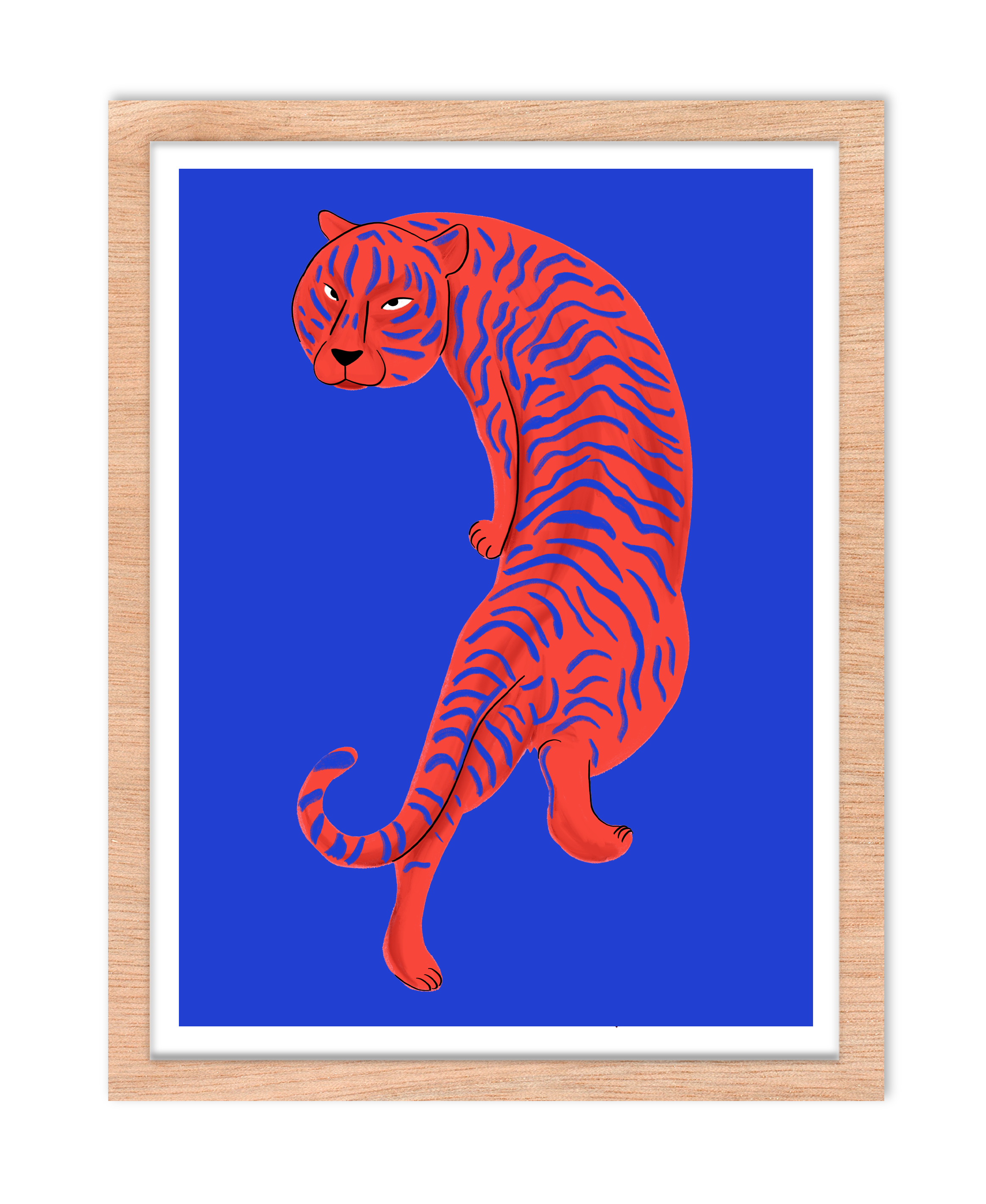 Tigre