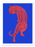 Tigre