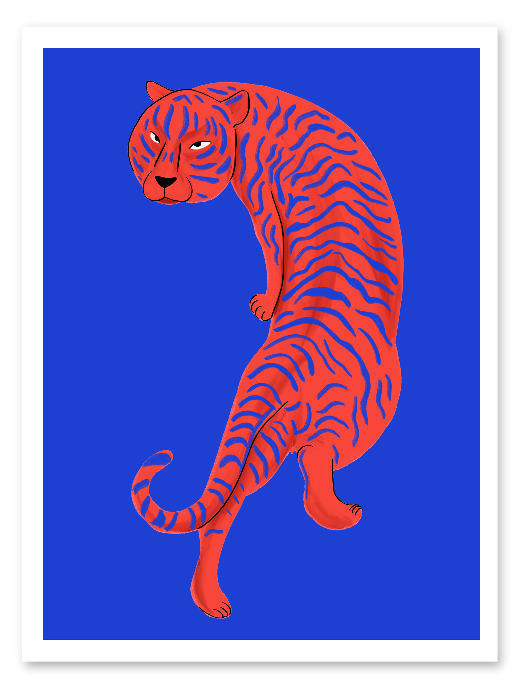 Tigre